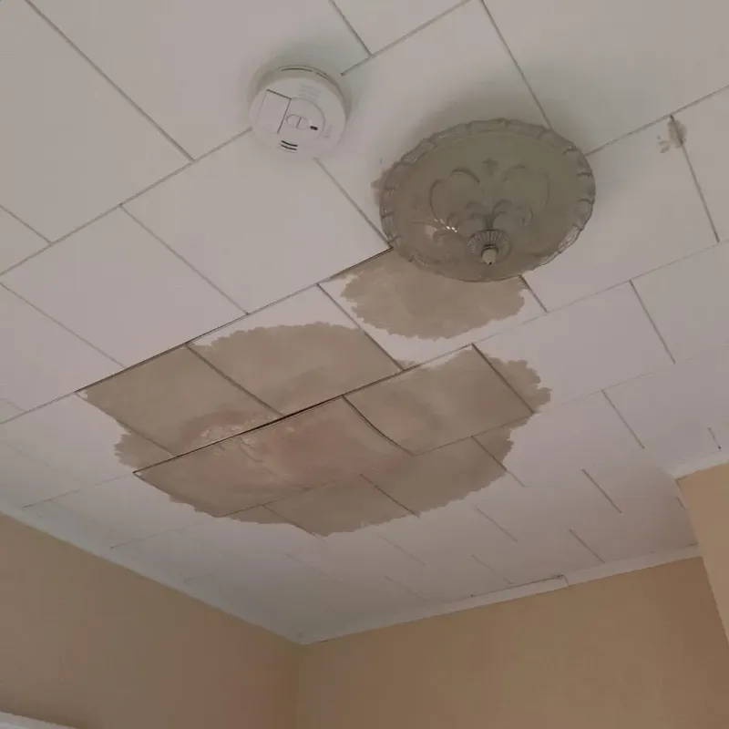 Ceiling Water Damage Repair in Bates County, MO