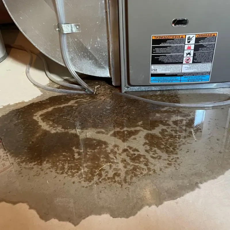 Pipe Burst and Leak Restoration in Bates County, MO