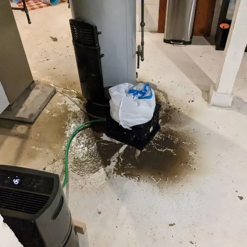 Sewage Backup Cleanup Service in Bates County, MO